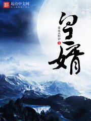 皇婿
