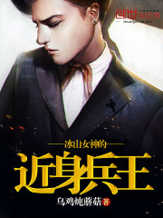 冰山女神的近身兵王