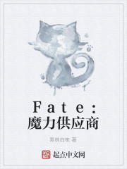 Fate：魔力供应商