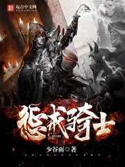 惩戒骑士