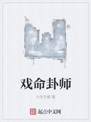 戏命卦师