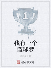 我有一个篮球梦