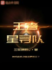 王者星寻队