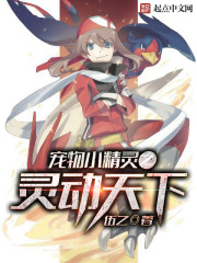 宠物小精灵之灵动天下