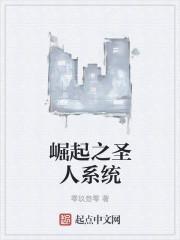崛起之圣人系统