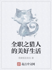 在全职猎人里