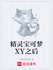 精灵宝可梦XY之后