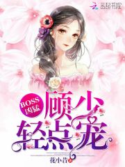 BOSS凶猛:顾少,轻点宠
