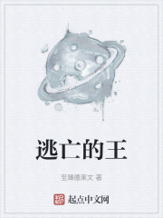 逃亡的王