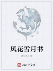 风花雪月书