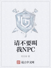 请不要叫我NPC