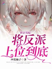 快穿男配:将反派上位到底