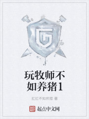 玩牧师不如养猪