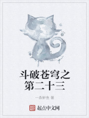 斗破苍穹之第二十三