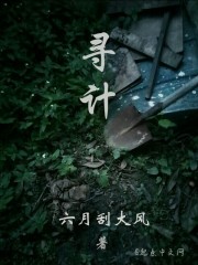 寻计