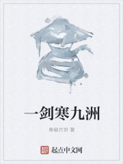 一剑寒九洲