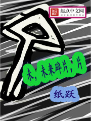 未,未来碎片,片