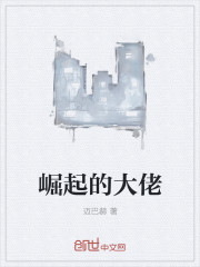 崛起的大佬