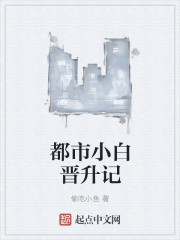 都市小白晋升记