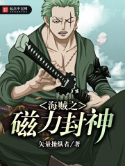 海贼之磁力封神