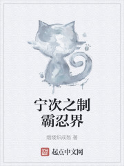宁次之制霸忍界