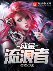 纯金流浪者