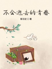 不会逝去的青春