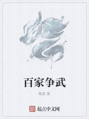 百家争武