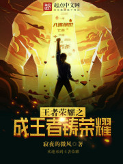 王者荣耀之成王者铸荣耀