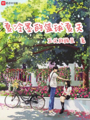 夏冷墨的篮球夏天