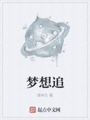 梦想追