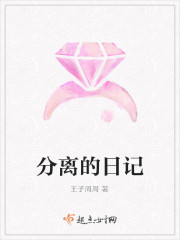 分离的日记
