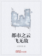 都市之云飞无敌