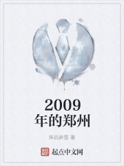2009年的郑州