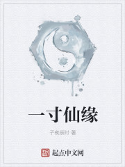 一寸仙缘
