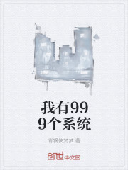 我有999个系统
