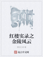 红楼实录之金陵风云