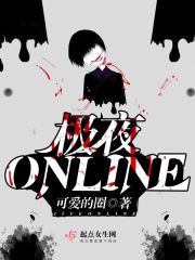 极夜Online