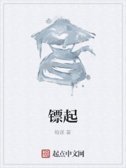 镖起