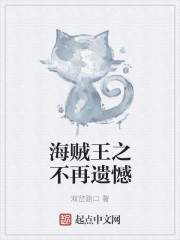 海贼王之不再遗憾