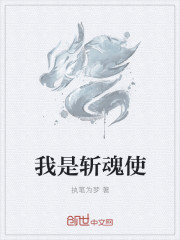 我是斩魂使