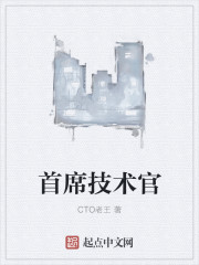 首席技术官
