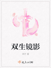 双生镜影