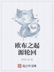 欧布之起源轮回