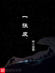 一张皮