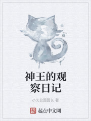 神王的观察日记