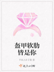 盔甲软肋皆是你