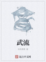 武流