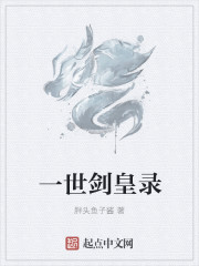 一世剑皇录