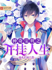 神奇宝贝之开挂人生 流火若风